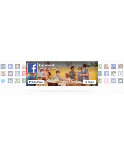 New Facebook Page Module